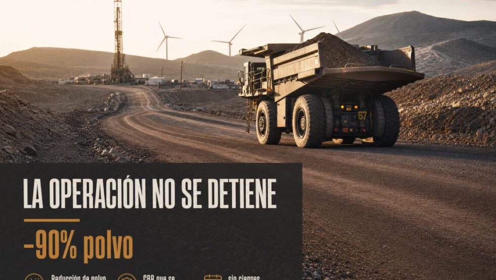 11 articulo blog