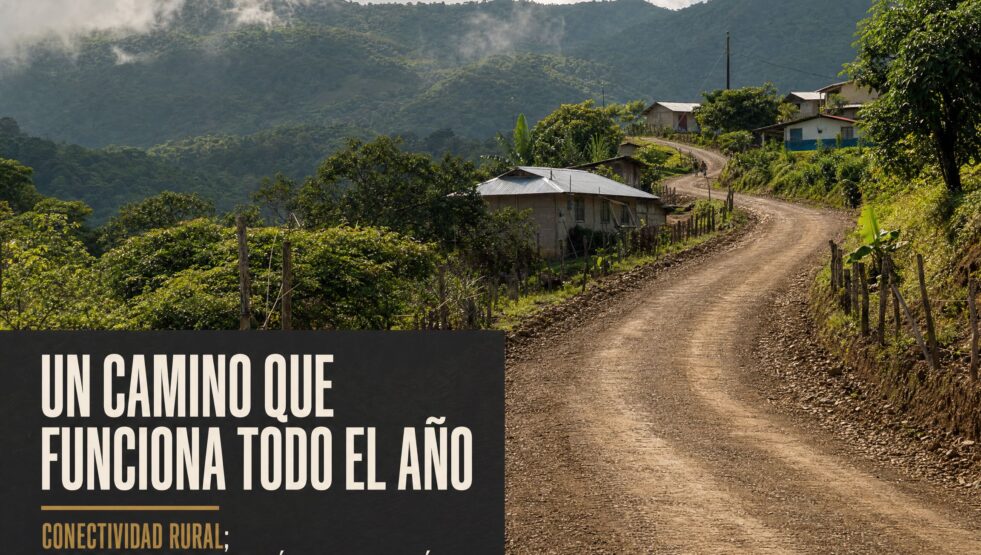 14 articulo blog